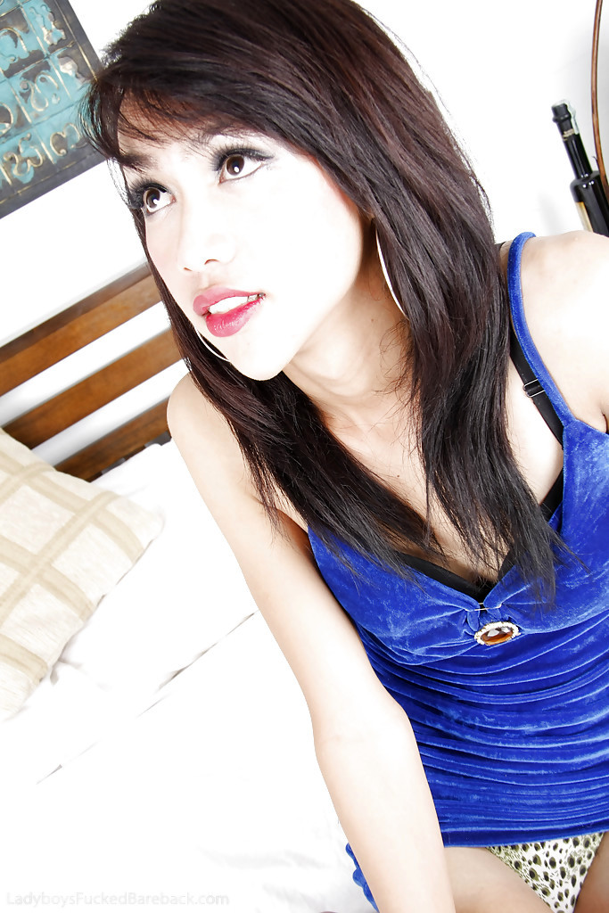 Brunette Teen Thai Femboy X Posing In A Blue Dress In Her Bedroom